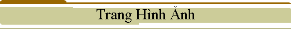 Trang H�nh Ảnh